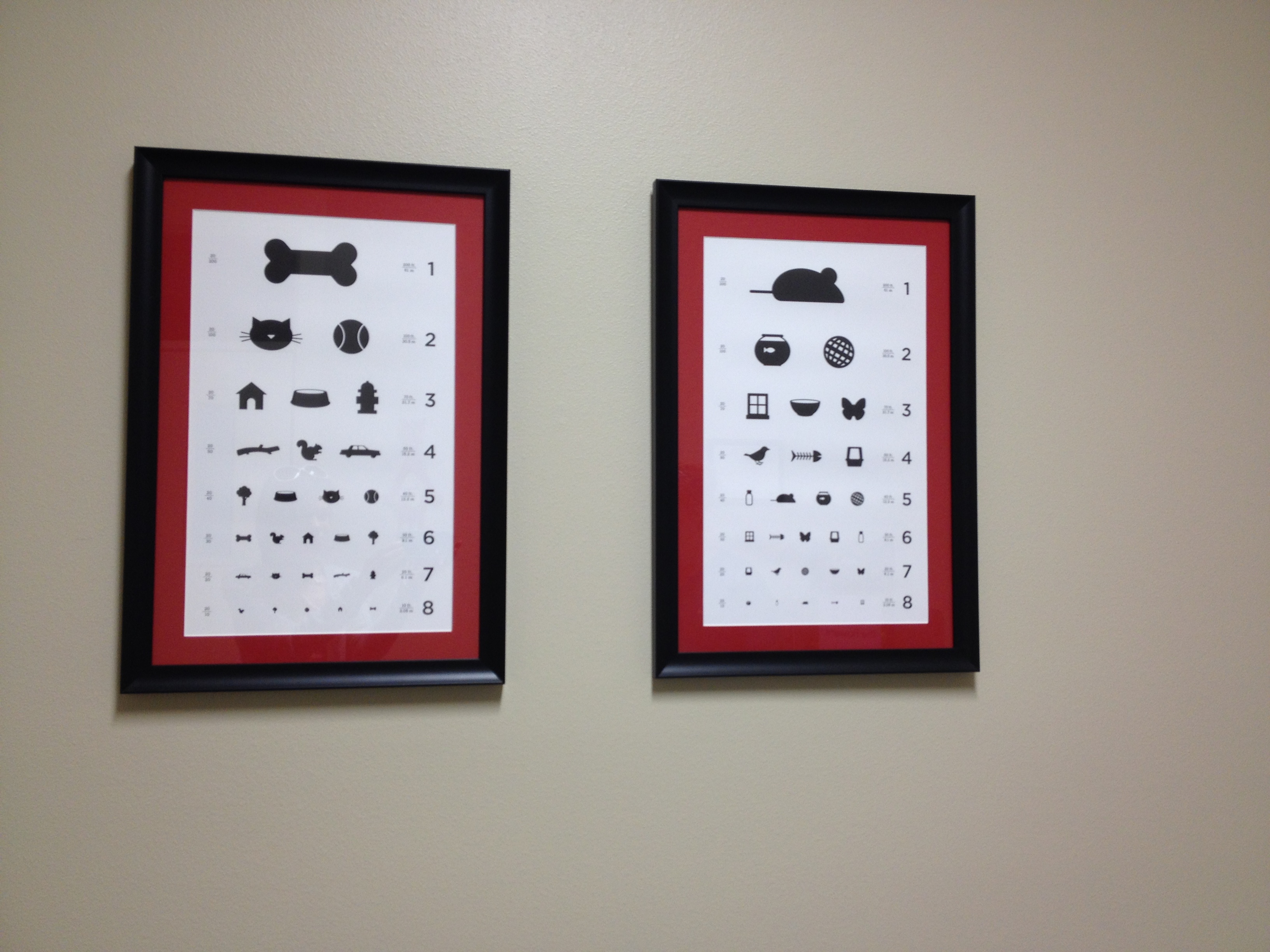 On the wall in an eye specialist for dog