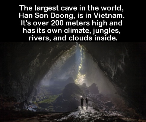 did you know facts about places - The largest cave in the world, Han Son Doong, is in Vietnam. 'It's over 200 meters high and 'has its own climate, jungles, rivers, and clouds inside.