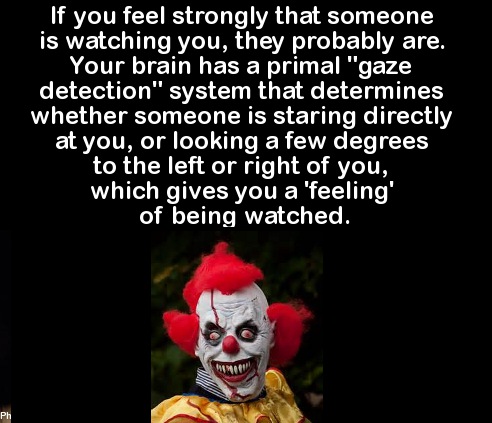Clowns are just SO creepy >_