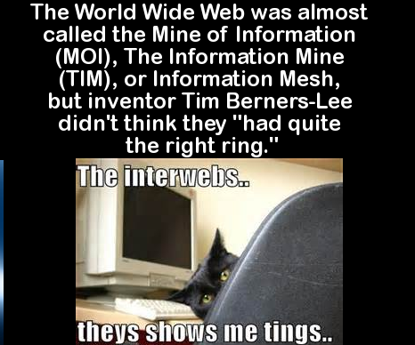 photo caption - The World Wide Web was almost called the Mine of Information Moi, The Information Mine Tim, or Information Mesh, but inventor Tim BernersLee didn't think they "had quite the right ring." The interwehs.. theys shows me tings..