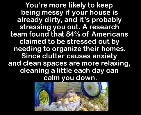 house cleaning fun facts - You're more ly to keep being messy if your house is already dirty, and it's probably stressing you out. A research team found that 84% of Americans claimed to be stressed out by needing to organize their homes. Since clutter cau