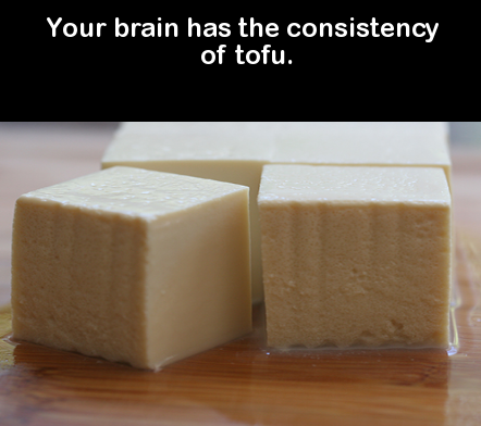parmigiano reggiano - Your brain has the consistency of tofu.