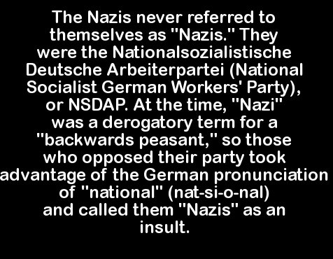 mong kok station - The Nazis never referred to themselves as "Nazis." They were the Nationalsozialistische Deutsche Arbeiterpartei National Socialist German Workers' Party, or Nsdap. At the time, "Nazi" was a derogatory term for a '"backwards peasant," so