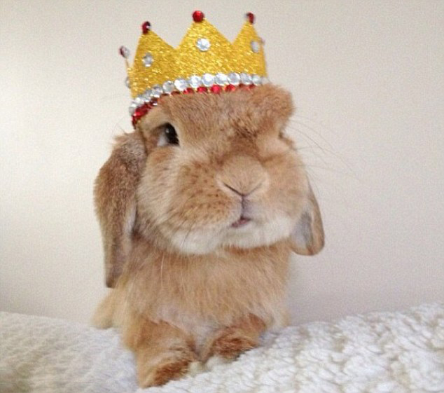 Everybun should wear a crown from time to time, even if it's an invisible crown.