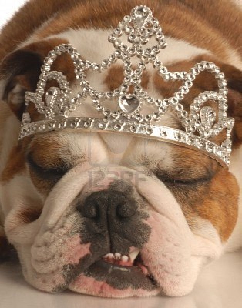 Like Toddlers and Tiaras, if you pay enough even the ugly ones can get a crown.