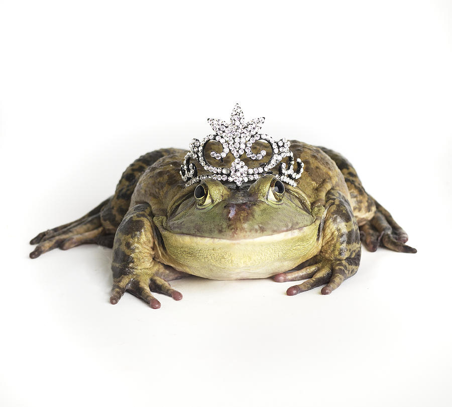 Not all frogs can be princes! Some are princesses (but you never hear of a guy chasing a frog to kiss)