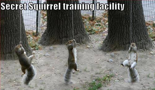 secret squirrel training facility - Secret Squirrel training facility
