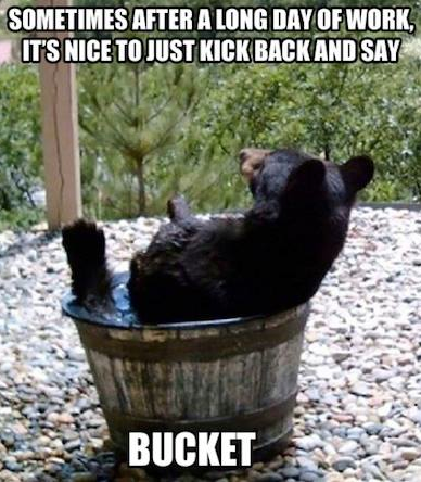 bear bathing - Sometimes After A Long Day Of Work. It'S Nice To Just Kick Back And Say Bucket