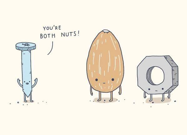 funny puns - You'Re Both Nuts!