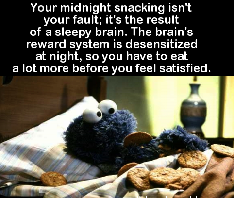 you a monster in bed cookie monster - Your midnight snacking isn't your fault; it's the result of a sleepy brain. The brain's reward system is desensitized at night, so you have to eat a lot more before you feel satisfied.