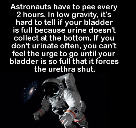 Trivia - Astronauts have to pee every 2 hours. In low gravity, it's hard to tell if your bladder is full because urine doesn't collect at the bottom. If you don't urinate often, you can't feel the urge to go until your bladder is so full that it forces th