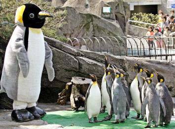 Penguins are cute. They waddle slowly. I think they're safe.