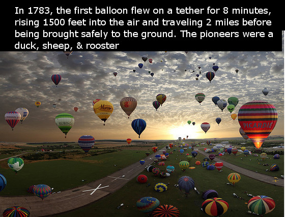 Happy Hot Air Balloon Day (tomorrow- June 5)