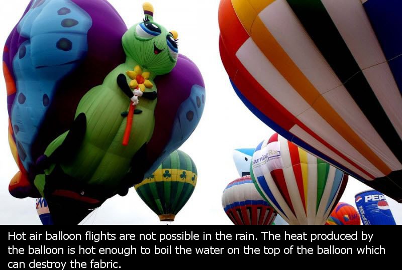 Happy Hot Air Balloon Day (tomorrow- June 5)