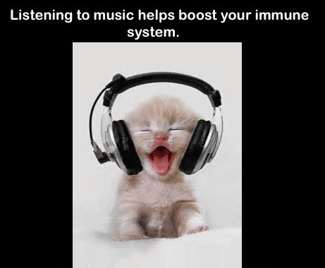 cute kittens with headphones - Listening to music helps boost your immune system.