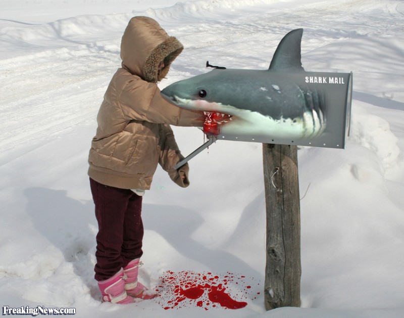 mailbox funny - Shark Mail Freaking News.com