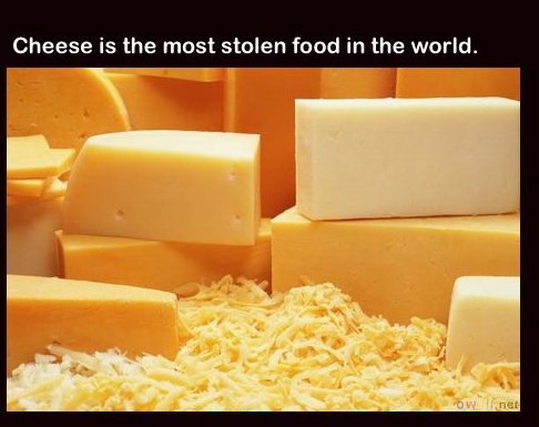 cheese analogue - Cheese is the most stolen food in the world.
