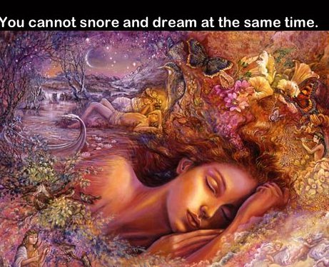 sleeping paintings - You cannot snore and dream at the same time.
