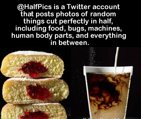 things cut in half - is a Twitter account that posts photos of random things cut perfectly in half, including food, bugs, machines, human body parts, and everything in between.