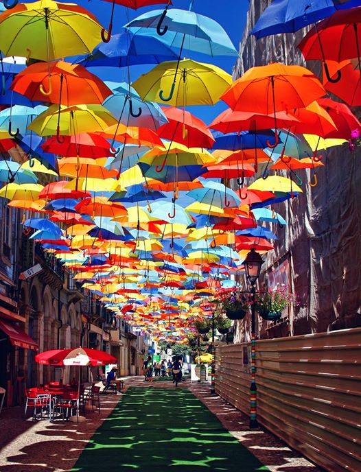 An alley of umbrellas