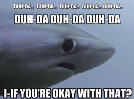 Happy Shark Awareness Day