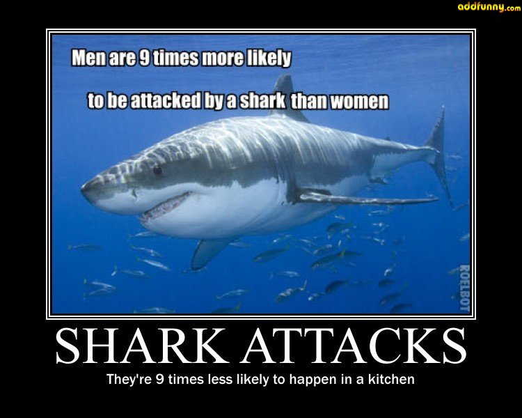 Happy Shark Awareness Day