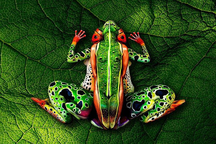 Five women make up this frog. Can you spot them?