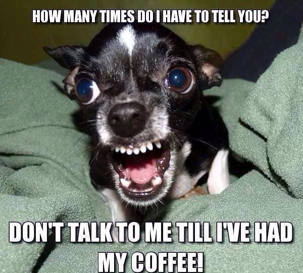 smile meme funny - How Many Times Do I Have To Tell You? Don'T Talk To Me Till I'Ve Had My Coffee!