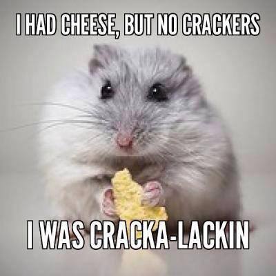 had cheese but no crackers - I Had Cheese, But No Crackers I Was CrackaLackin