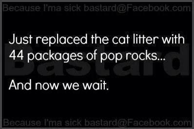 darkness - Because I' ma sick bastard.com Just replaced the cat litter with 44 packages of pop rocks... And now we wait. Because I'ma sick bastard.com