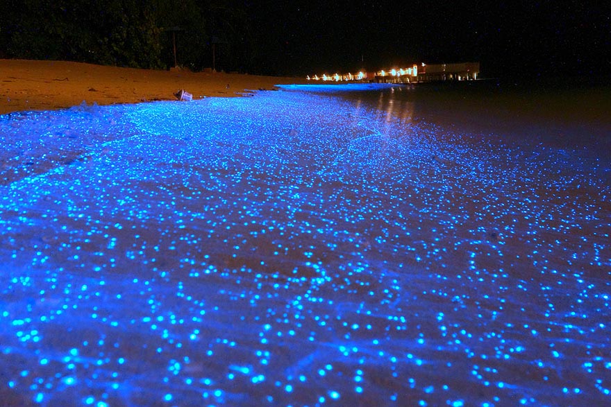 Glow-in-the-dark Beach in Maldives