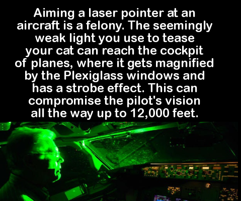 wtf fun facts about games - Aiming a laser pointer at an aircraft is a felony. The seemingly weak light you use to tease your cat can reach the cockpit of planes, where it gets magnified by the Plexiglass windows and has a strobe effect. This can compromi
