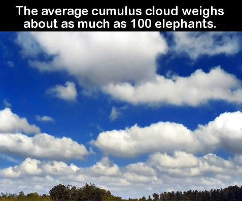 The average cumulus cloud weighs about as much as 100 elephants.