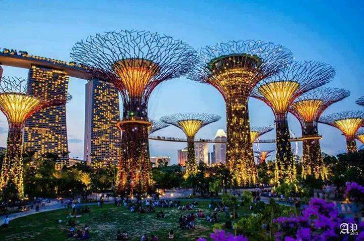 Singapore's solar powered trees