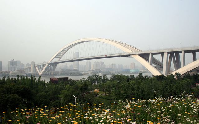 China's Lupu Bridge