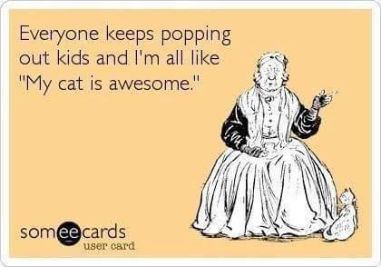 bitch be cray cray - Everyone keeps popping out kids and I'm all "My cat is awesome." someecards user card