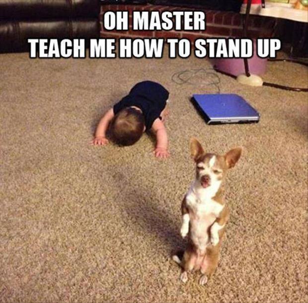 think it's broken meme - Oh Master Teach Me How To Stand Up