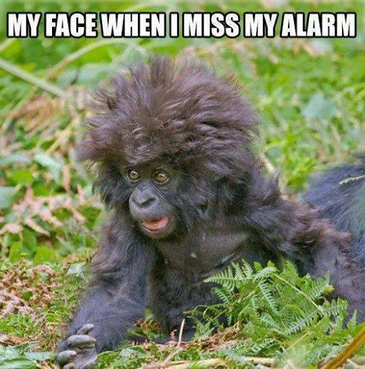 alarm didn t go off meme - My Face When I Miss My Alarm