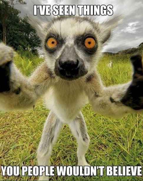 lemur selfie - I'Ve Seen Things You People Wouldn'T Believe Tan
