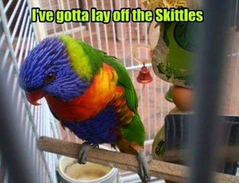 beak - Ove gotta lay off the Skittles