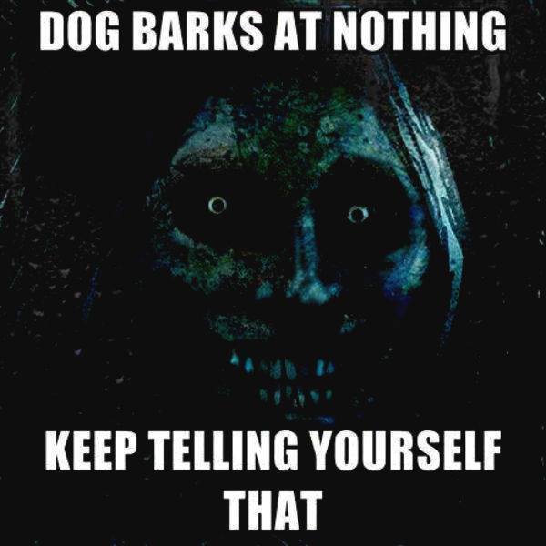 poster - Dog Barks At Nothing Keep Telling Yourself That