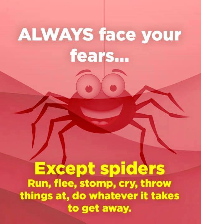 valentine's day - Always face your fears... Except spiders Run, flee, stomp, cry, throw things at, do whatever it takes to get away.
