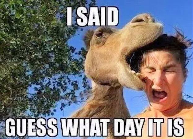 wednesday funny work meme - I Said Guess What Day It Is