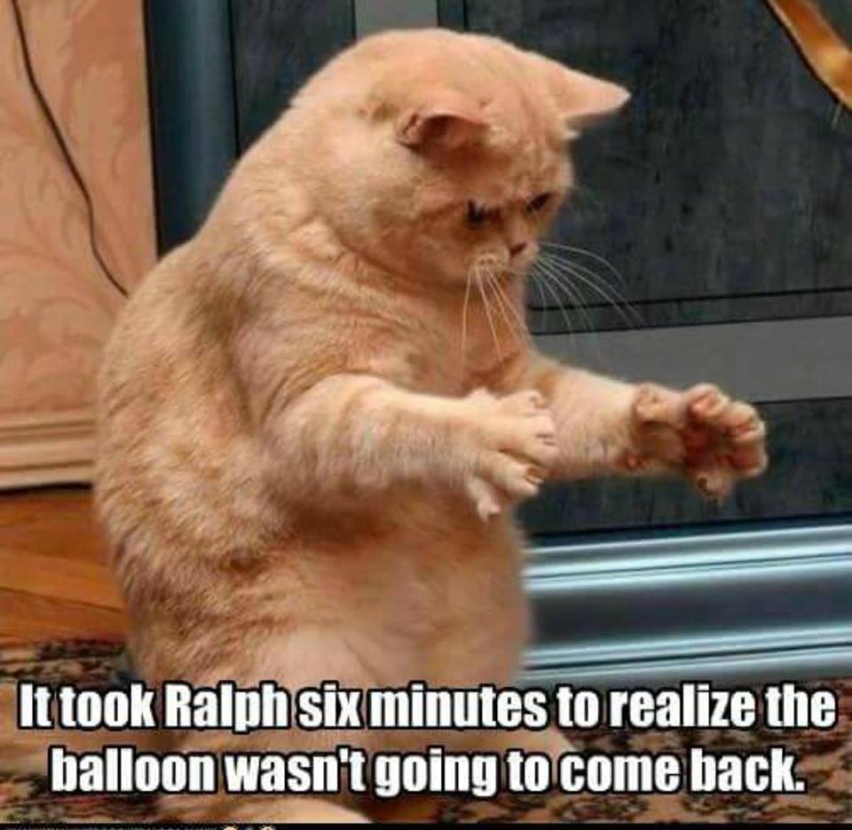 took ralph 6 minutes - It took Ralph six minutes to realize the balloon wasn't going to come back.