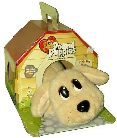 You kept the box your Pound Puppy came in because it looked like a dog house.