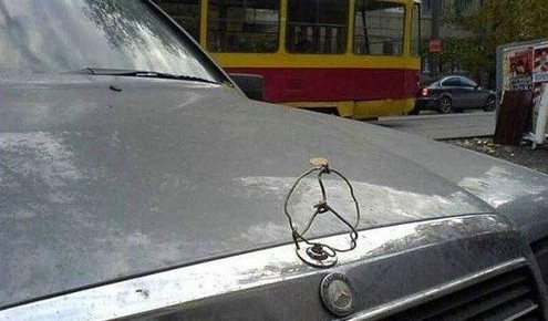 20 pics that will leave you shaking your head