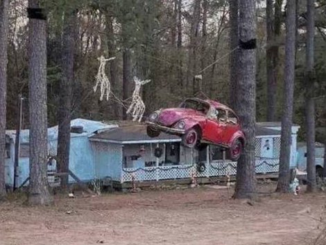 20 pics that will leave you shaking your head