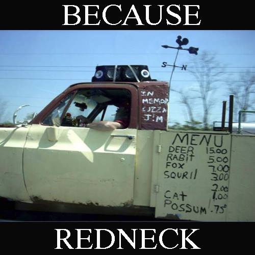 20 pics that will leave you shaking your head