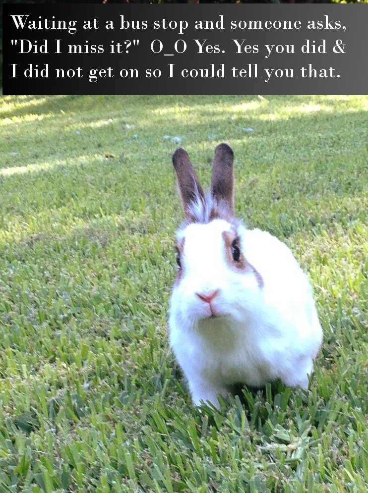 20 pics that will leave you shaking your head