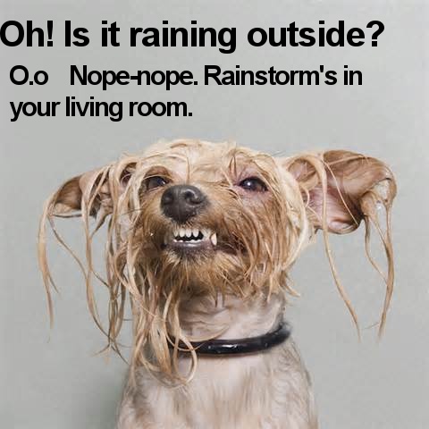 20 pics that will leave you shaking your head